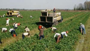 BecomeACanadian - travailleurs agricoles